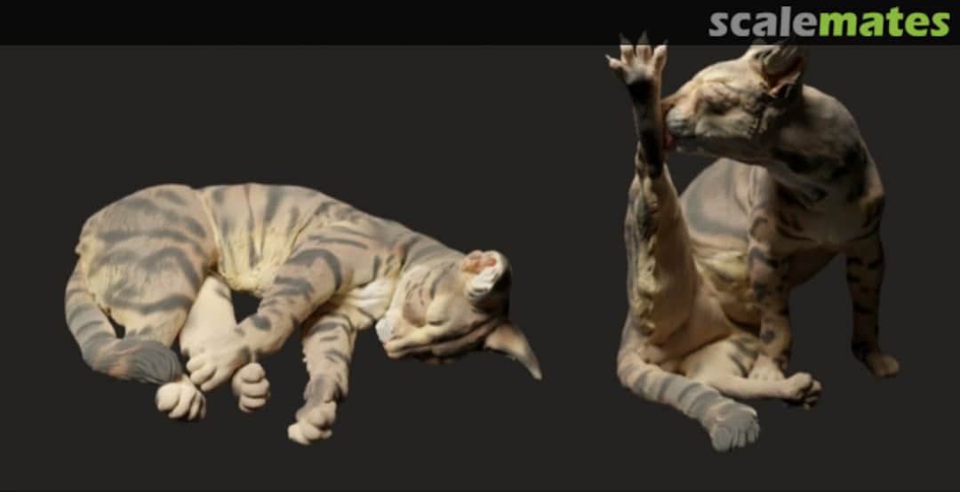 Boxart Cats - set no. 1 - washing and sleeping 72130109 EMP3d Boxart Cats - set no. 1 - washing and sleeping 72130109 EMP3d