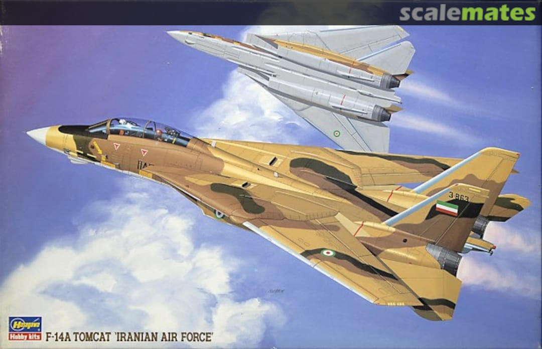 Boxart F-14A Tomcat `Iranian Air Force´ 04065 Hasegawa Boxart F-14A Tomcat `Iranian Air Force´ 04065 Hasegawa