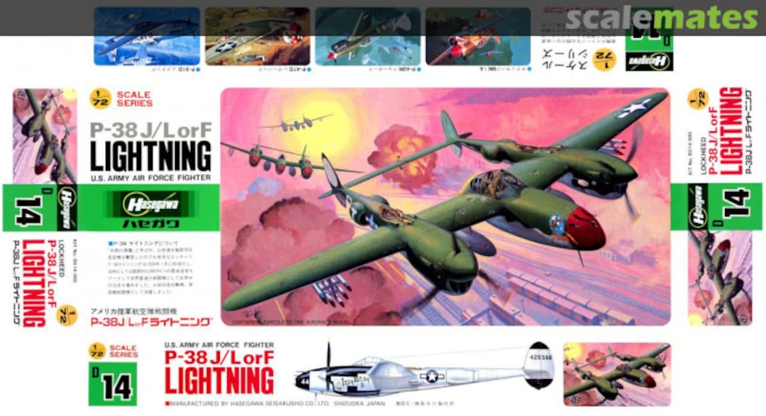 Boxart P-38 J/L or F Lightning D14 Hasegawa