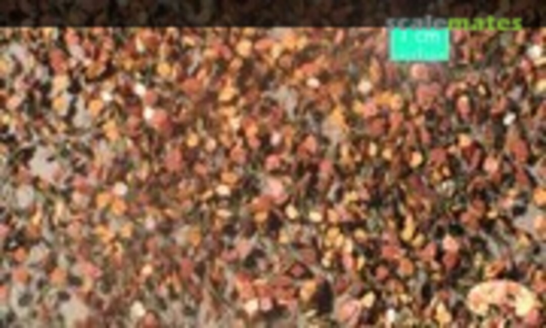 No Beech leaves, late autumn - Content ca. 27x16,5cm (Silhouette 920-34) 920-34