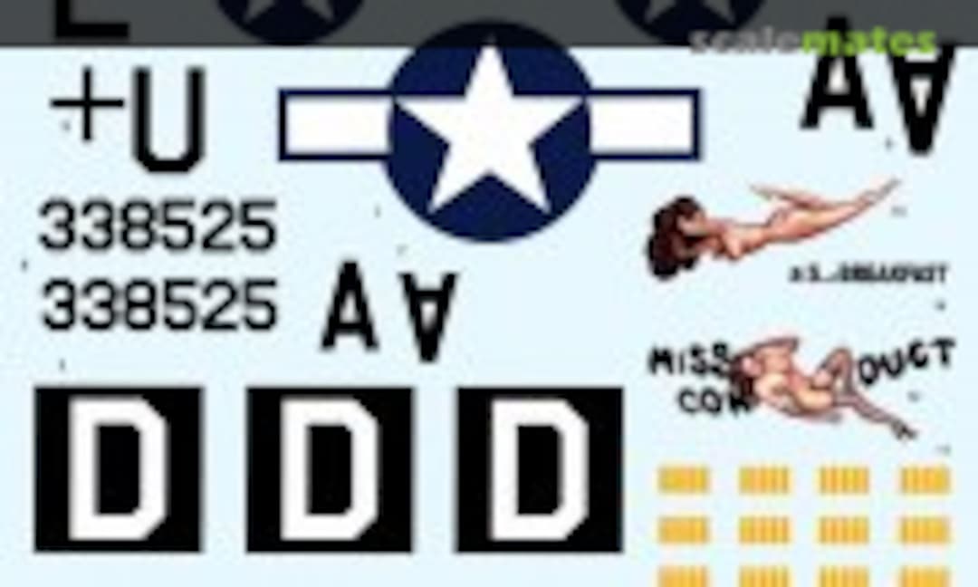 1:48 B-17G Flying Fortresses (Possum Werks 8003) 8003