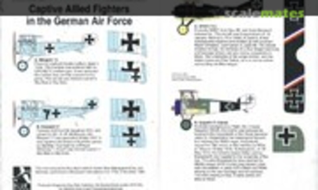 1:72 WWI Allied Fighter in German Service (Blue Rider BR227) BR227