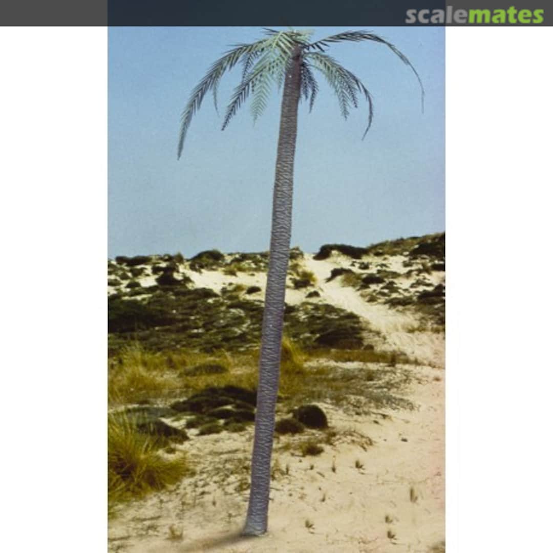 Boxart Palm Tree 056 Royal Model Boxart Palm Tree 056 Royal Model