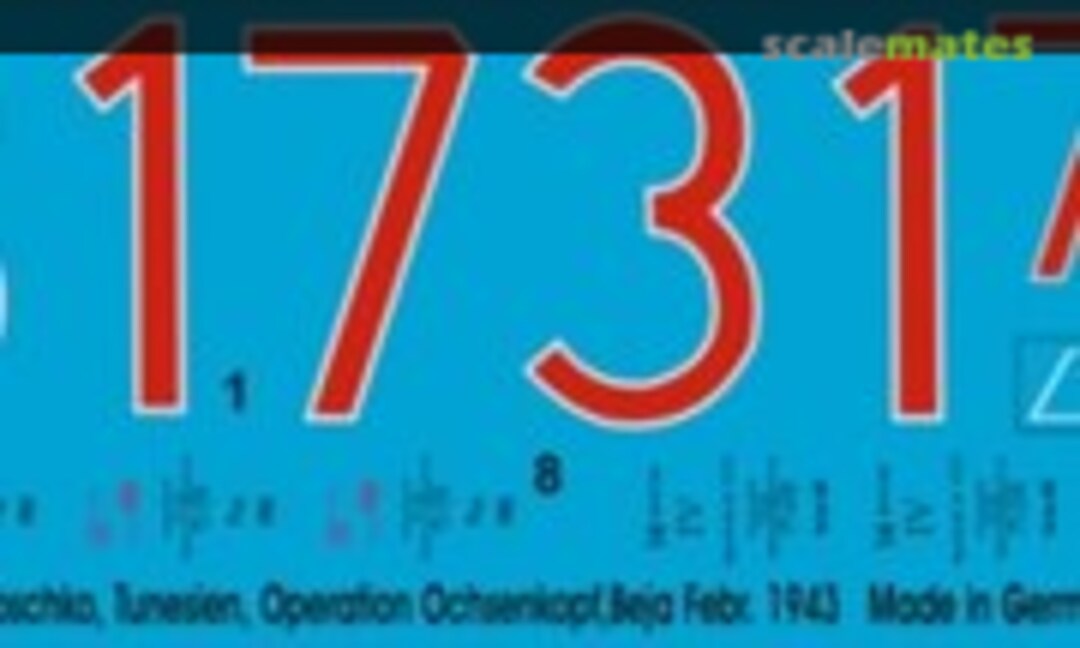 1:16 Tiger I schwere Panzer Abt. 501 Tunesien 1943 (Peddinghaus-Decals EP 1490) EP 1490