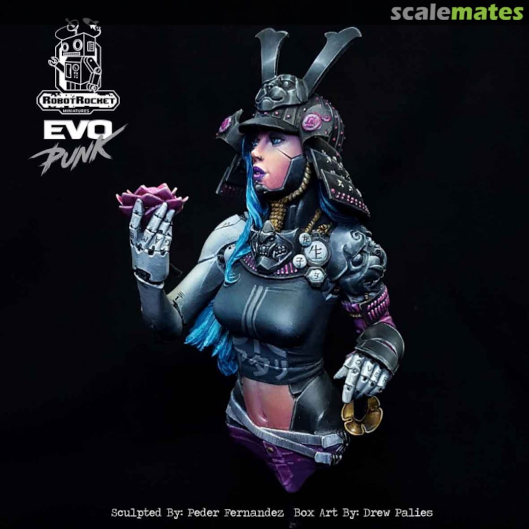 Boxart K0-Hana fur11 Robot Rocket Miniatures Boxart K0-Hana fur11 Robot Rocket Miniatures