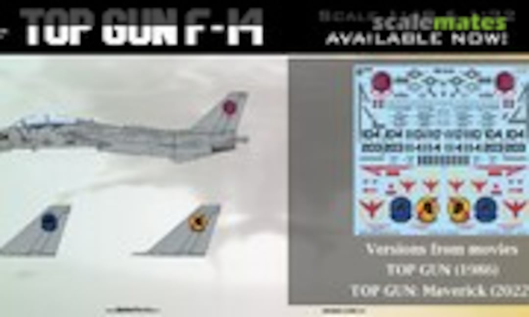 1:72 Top Gun F-14 (Aztec Models 72097) 72097