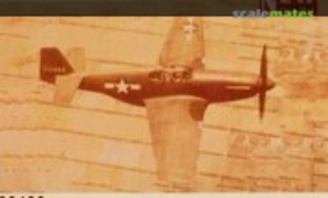 1:24 N.A. P-51B/C Mustang III (Trumpeter 02402)