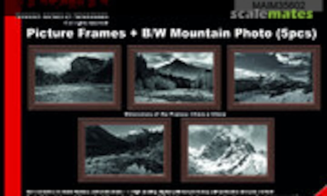 No Picture Frames + b/w Mountain Photos / Uniscale (MAiM MAIM35602)