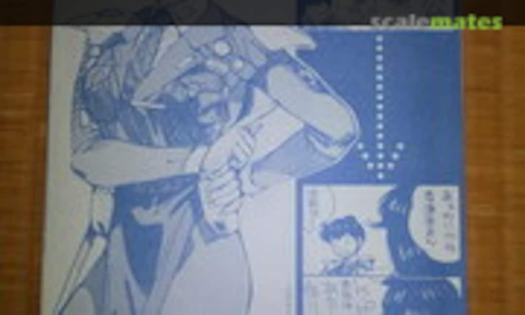 No Katsumi Liqueur (Fukaya 30) 30