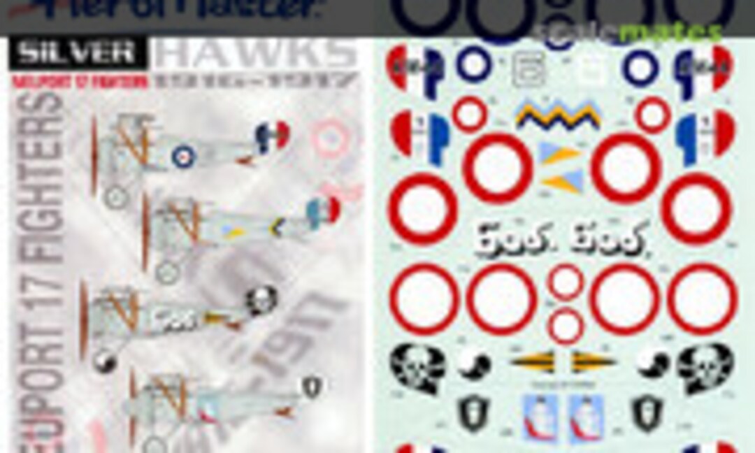 1:48 Silver Hawks (AeroMaster 48-521) 48-521