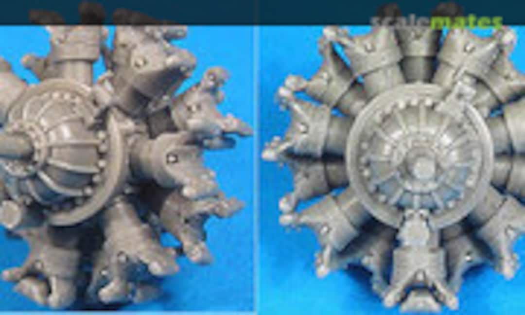 1:48 Pratt&Whitney R-1535 (Vector 48028) 48028