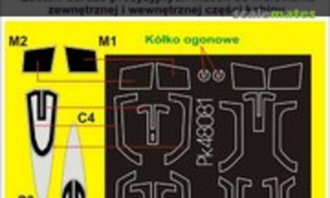 1:48 Focke Wulf FW 190A/D (Pmask PK48081) PK48081