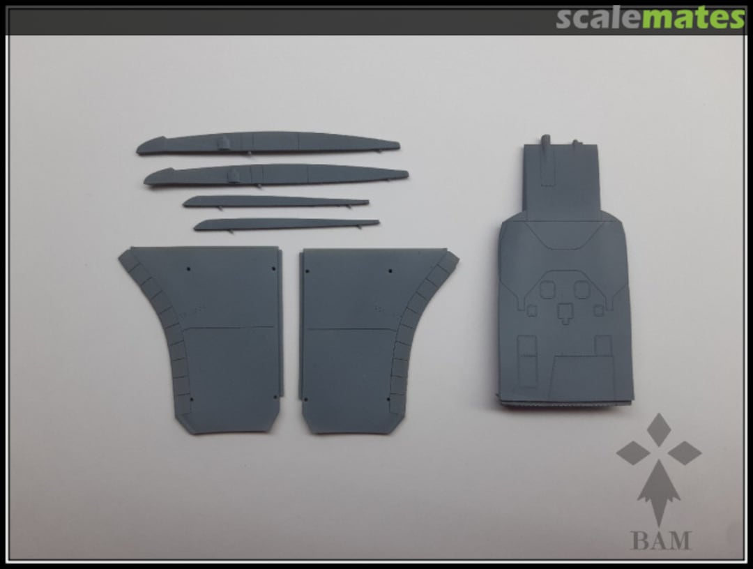 Boxart F-14A Tomcat - Early Wing Gloves & Beaver Tail BAM48046wo BAM Models Boxart F-14A Tomcat - Early Wing Gloves & Beaver Tail BAM48046wo BAM Models