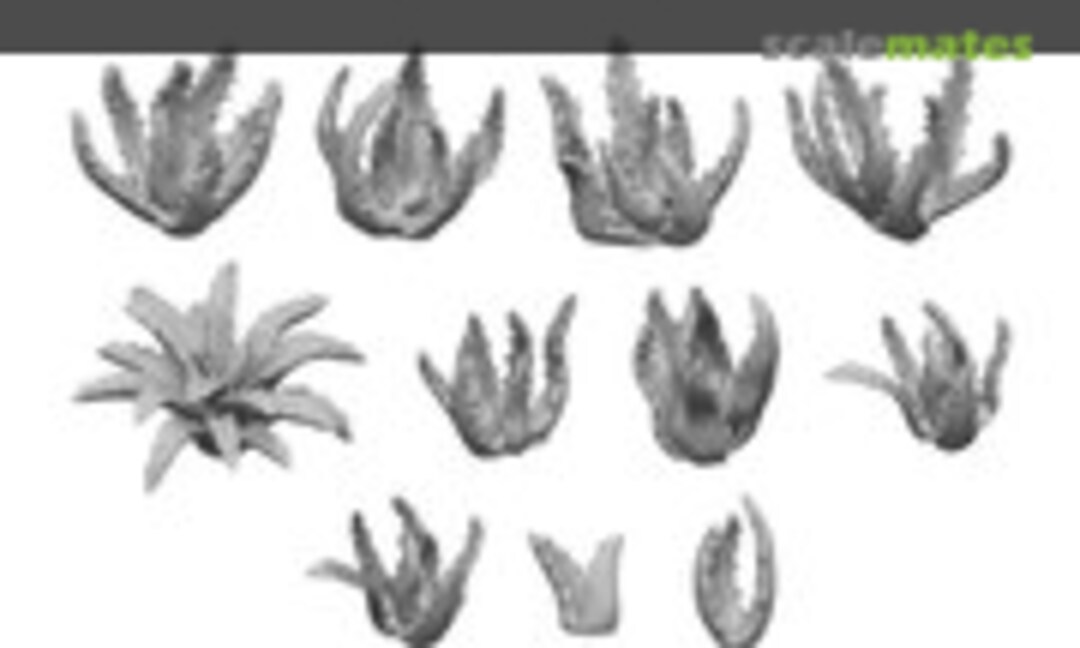 1:48 Aloe x20 (Green Stuff World 11613) 11613