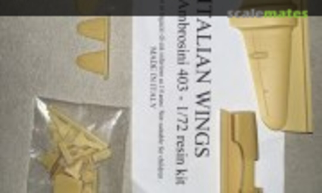 1:72 Ambrosini SAI.403 Dardo (Italian Wings NONE) NONE