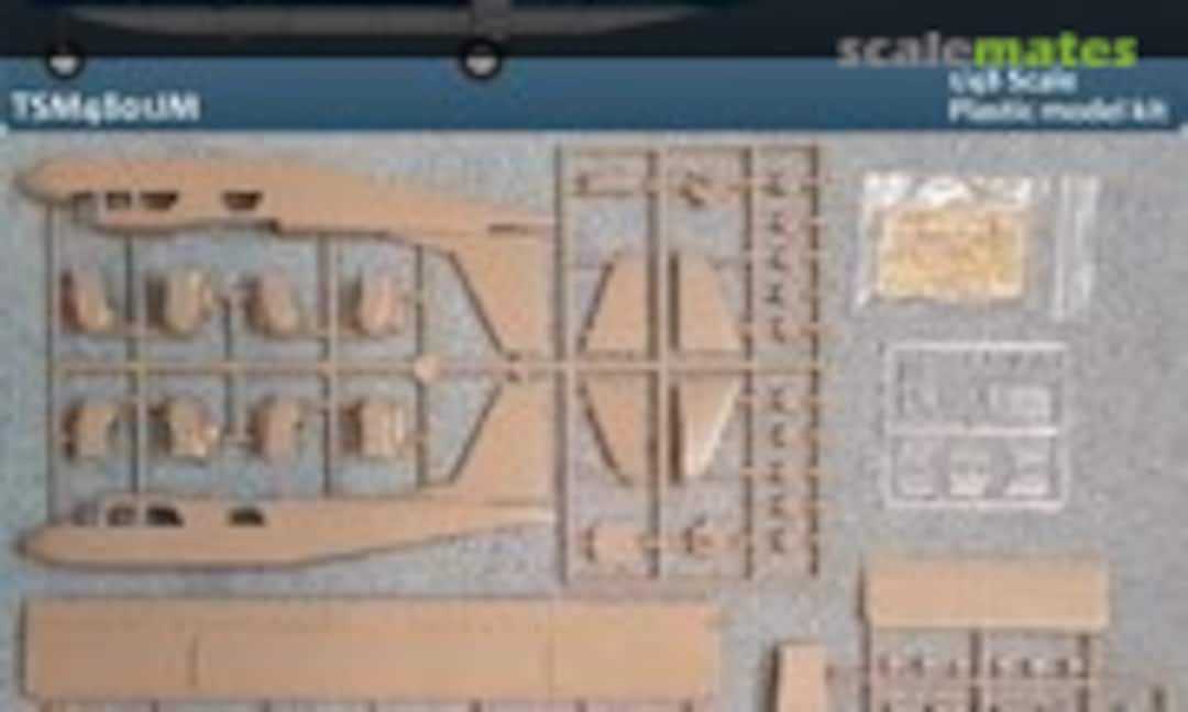 1:48 Air Jamaica Express BN2B Islander (26 Models TSM4801JM)