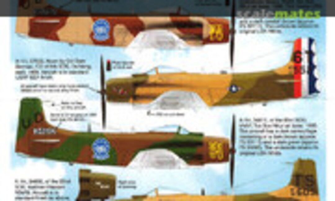 1:48 Special OPs Skyraiders (Iliad Design 48019a) 48019a