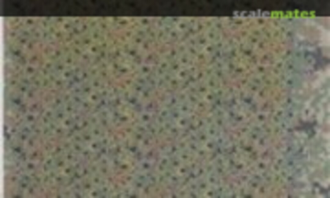 1:35 JSDF Camouflage Type II Summer Use (CROSSDELTA MIL35019) MIL35019