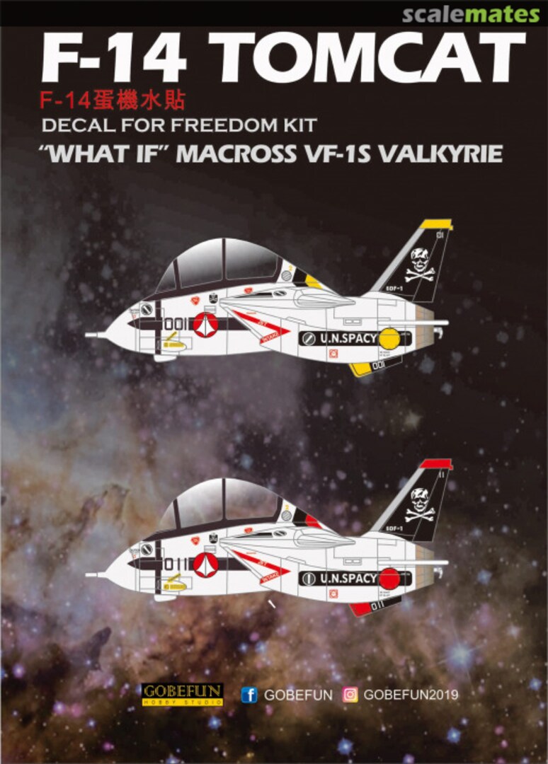 Boxart F-14 Tomcat GB13 Gobefun Hobby Studio Boxart F-14 Tomcat GB13 Gobefun Hobby Studio