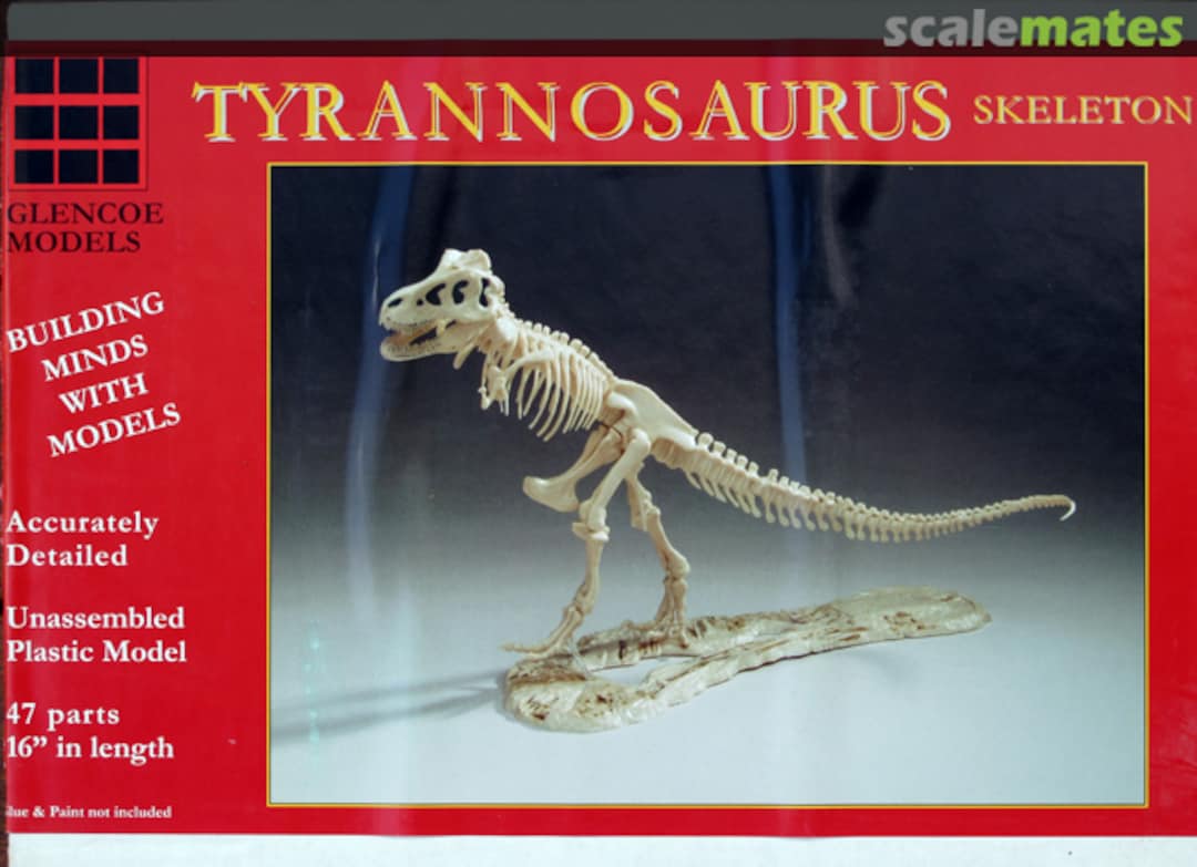 Boxart Tyrannosaurus Skeleton 7906 Glencoe Models Boxart Tyrannosaurus Skeleton 7906 Glencoe Models