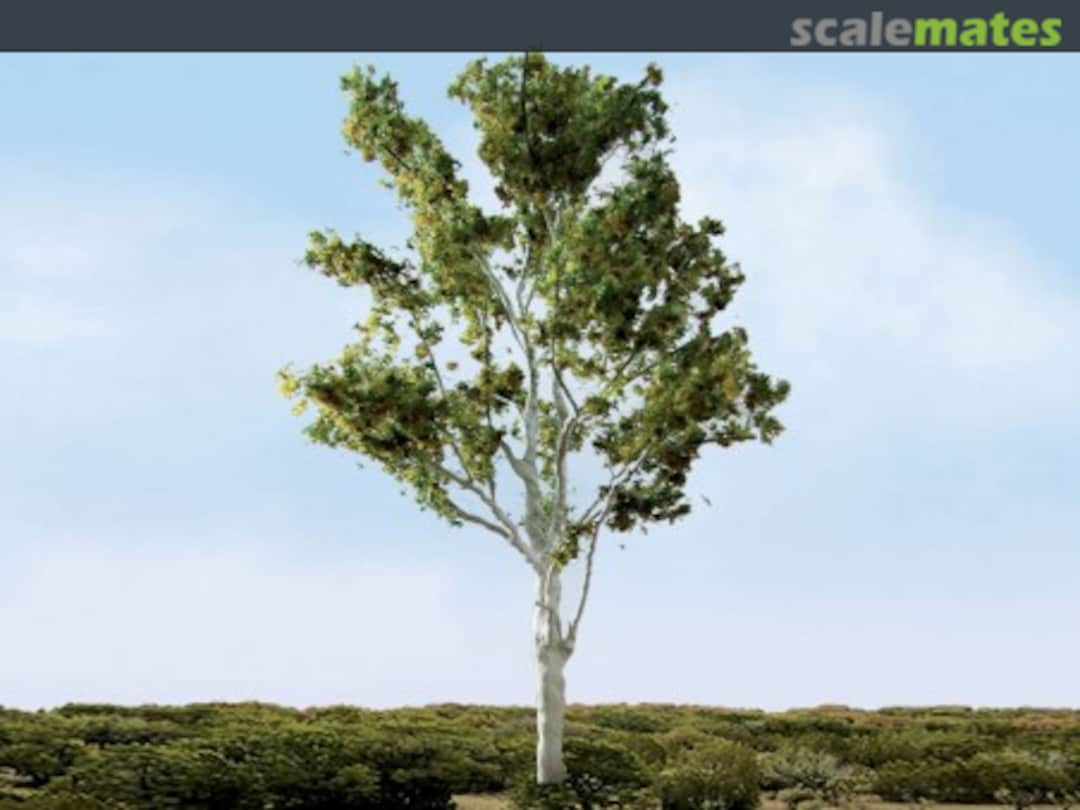 Boxart Paper Birch 94472 JTT Scenery Products Boxart Paper Birch 94472 JTT Scenery Products