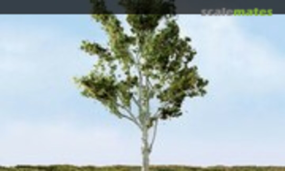 1:160 Paper Birch (JTT Scenery Products 94473) 94473