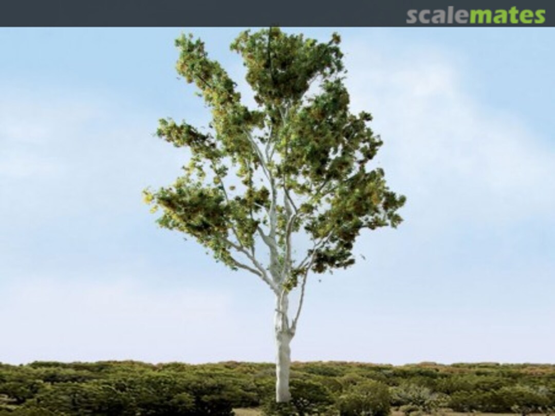 Boxart Paper Birch 94474 JTT Scenery Products Boxart Paper Birch 94474 JTT Scenery Products