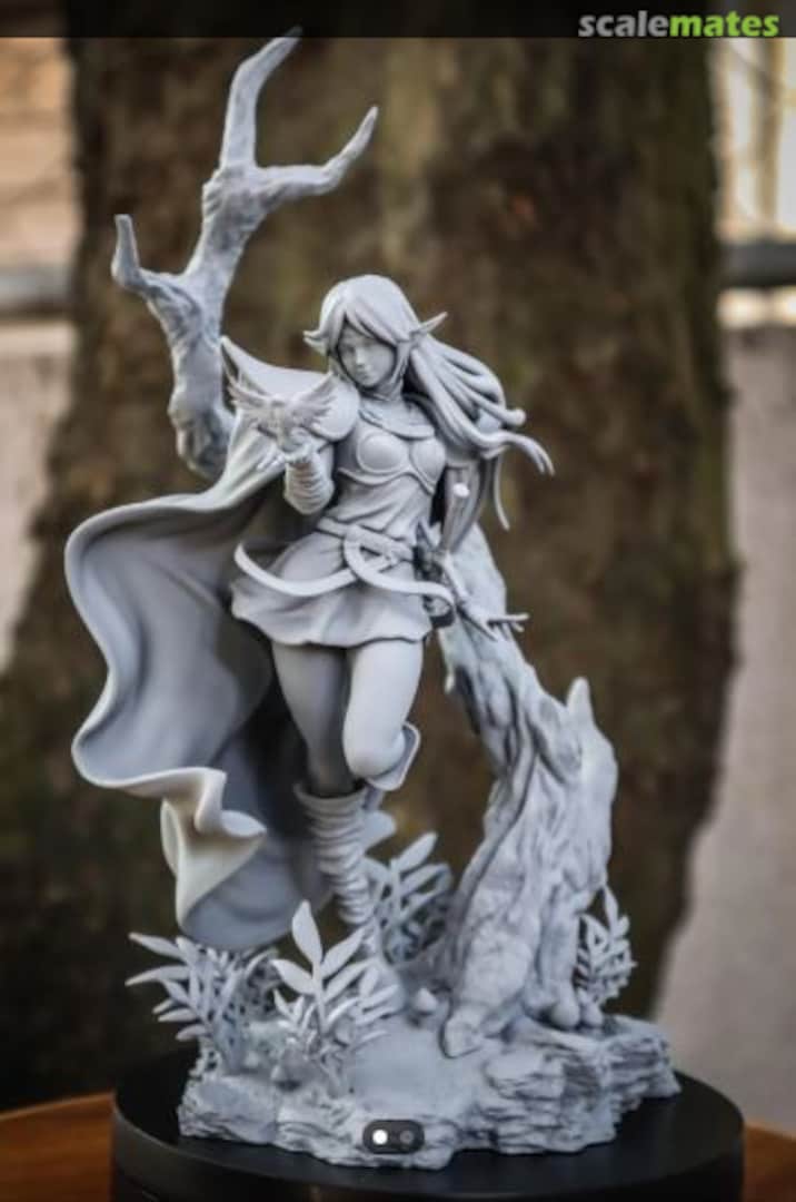 Boxart Pirotess Sheru Record of Lodoss War  Unknown