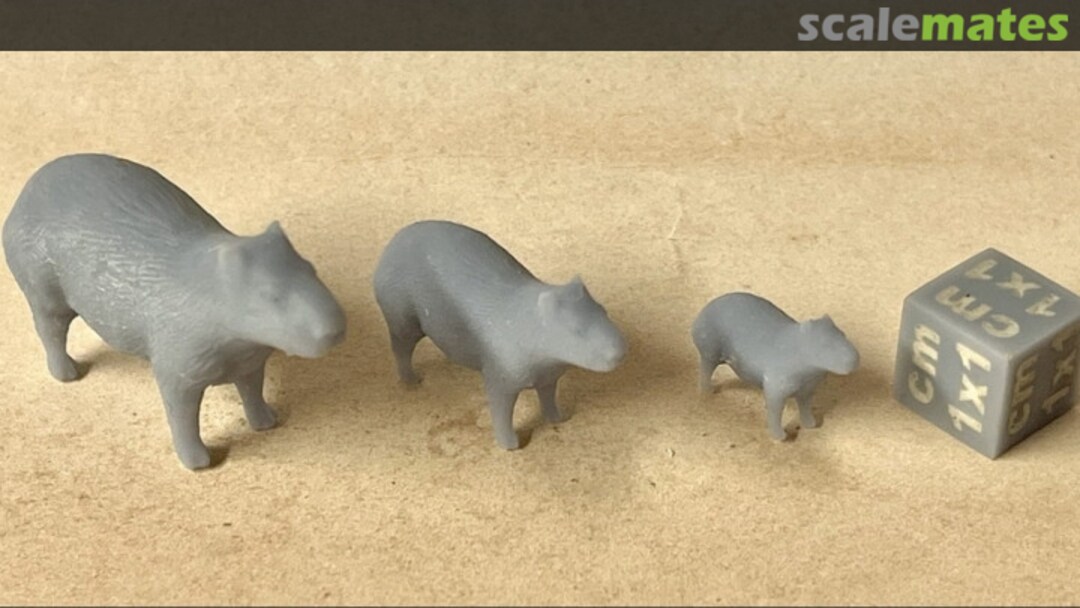 Boxart Capybara - 2 pieces 72130202 EMP3d