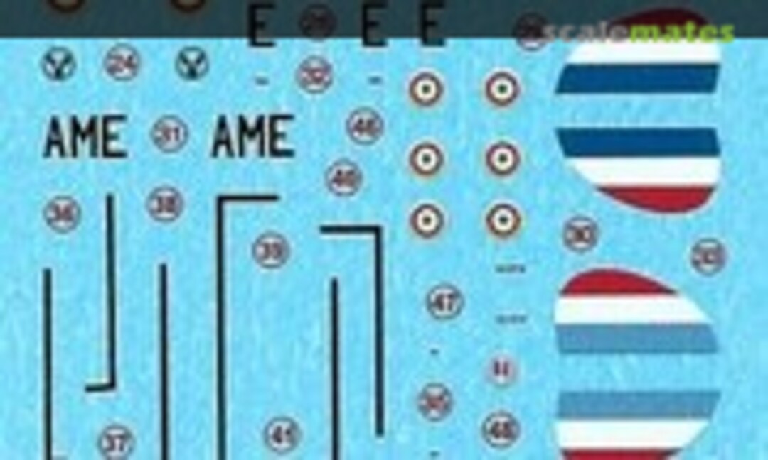 1:144 Cessna L19E (Berna Decals BD 144-25) BD 144-25