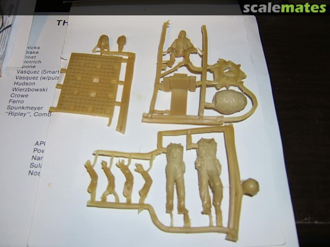 Boxart Mr. Jordan with egg AC-5 A.E.F. Designs Boxart Mr. Jordan with egg AC-5 A.E.F. Designs