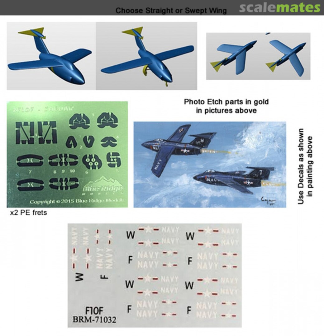 Boxart Grumman F10F Jaguar Aircraft BRM-71032 Blue Ridge Models Boxart Grumman F10F Jaguar Aircraft BRM-71032 Blue Ridge Models