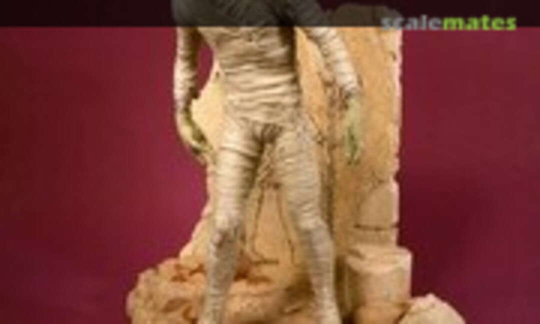 1:6 The Mummy (Geometric Design )