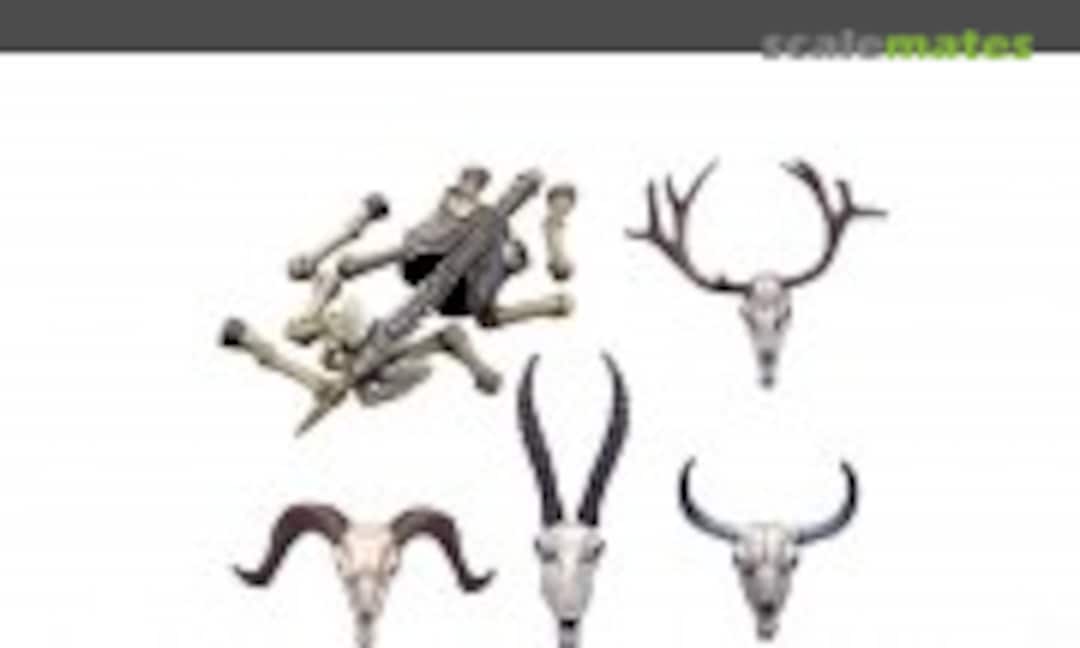 1:35 Animals Skulls & Skeletons (AK Interactive MP35-424) MP35-424