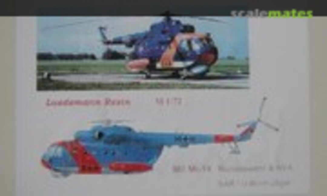 Mil Mi-14 Bundeswehr &amp; NVA (Lüdemann-Modellbau )