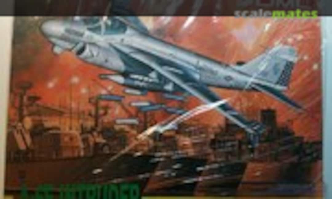 1:144 A-6E Intruder (DML 9906)