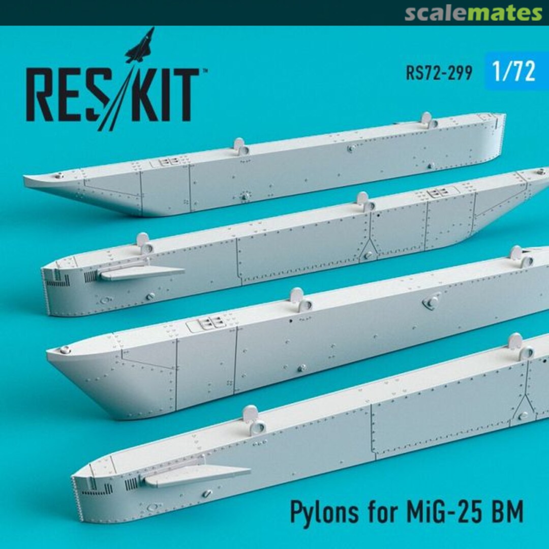 Boxart Pylons for MiG-25BM RS72-0299 ResKit Boxart Pylons for MiG-25BM RS72-0299 ResKit