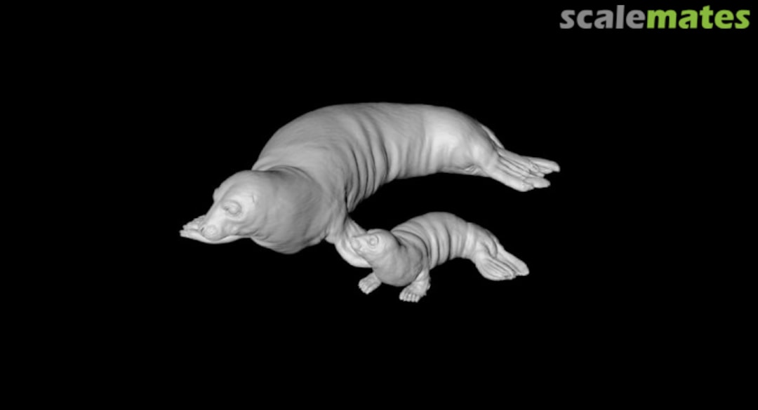 Boxart Seals - Mother with Cub 72130211 EMP3d Boxart Seals - Mother with Cub 72130211 EMP3d