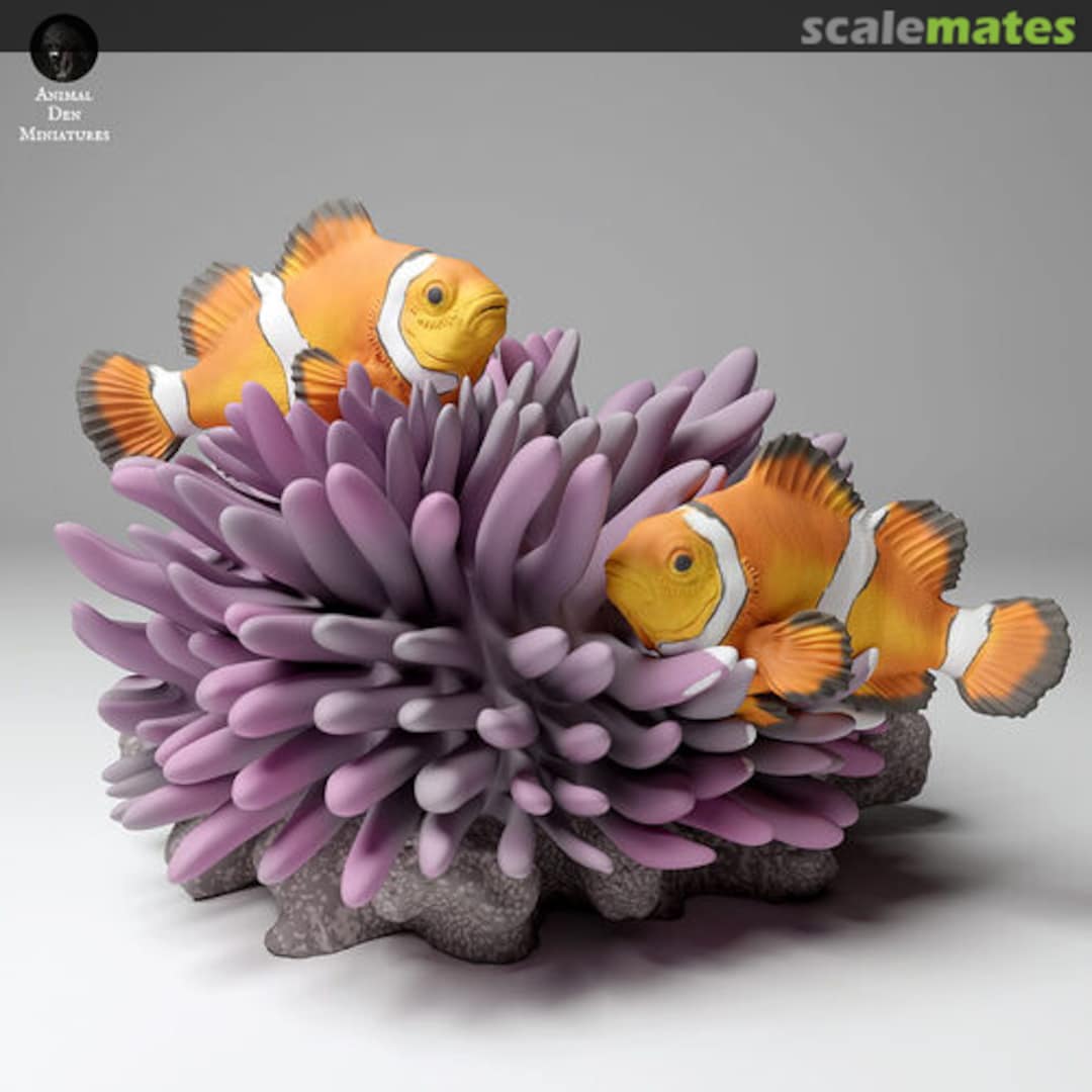 Boxart Fish - common clownfish - 8-9 mm (12 pieces) 99161101-08 EMP3d Boxart Fish - common clownfish - 8-9 mm (12 pieces) 99161101-08 EMP3d