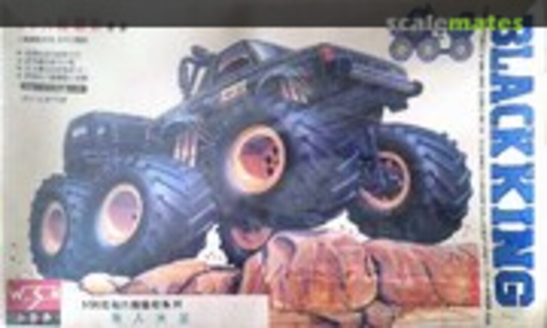 1:36 Black King (WSN 00701)