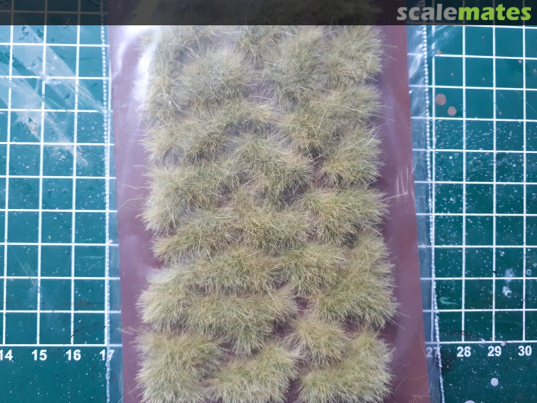 Boxart Grass patches dry green DD011-H DioDump Boxart Grass patches dry green DD011-H DioDump