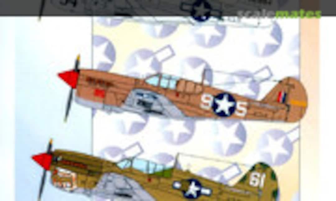 1:48 Birds of Prey, Warhawks and Kittyhawks (Eagle Strike Productions 48147) 48147