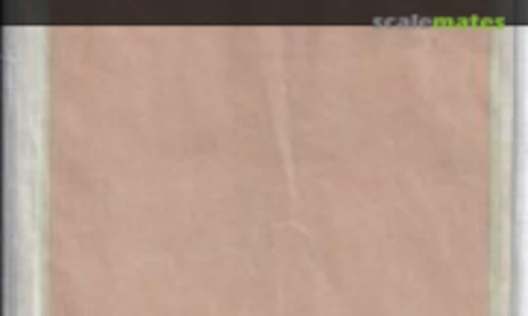 1:72 Decal Dayglo (Graphy-Air 07) 07