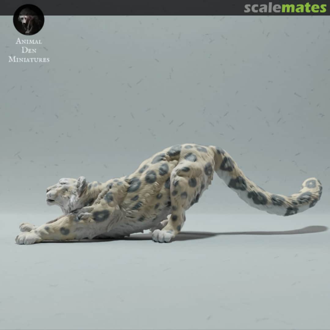Boxart Snow Leopard - Stretching 72130216 EMP3d