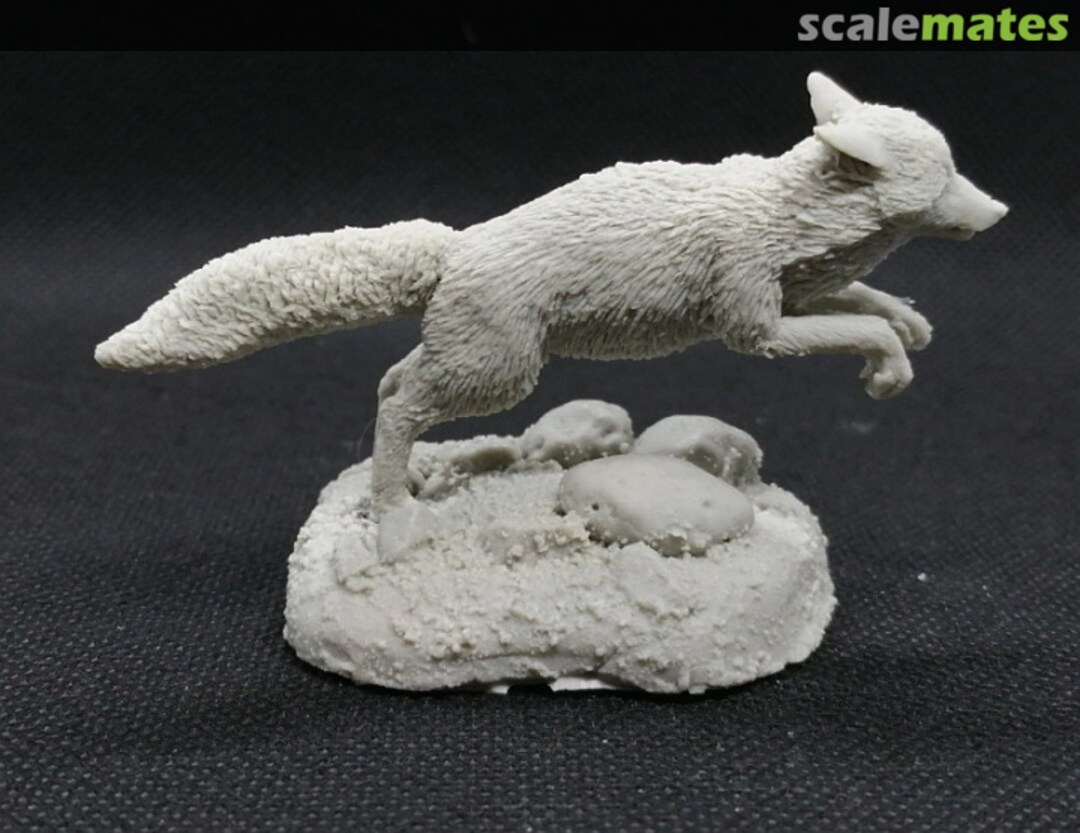 Boxart Fox CixM12001 Cix Models Boxart Fox CixM12001 Cix Models