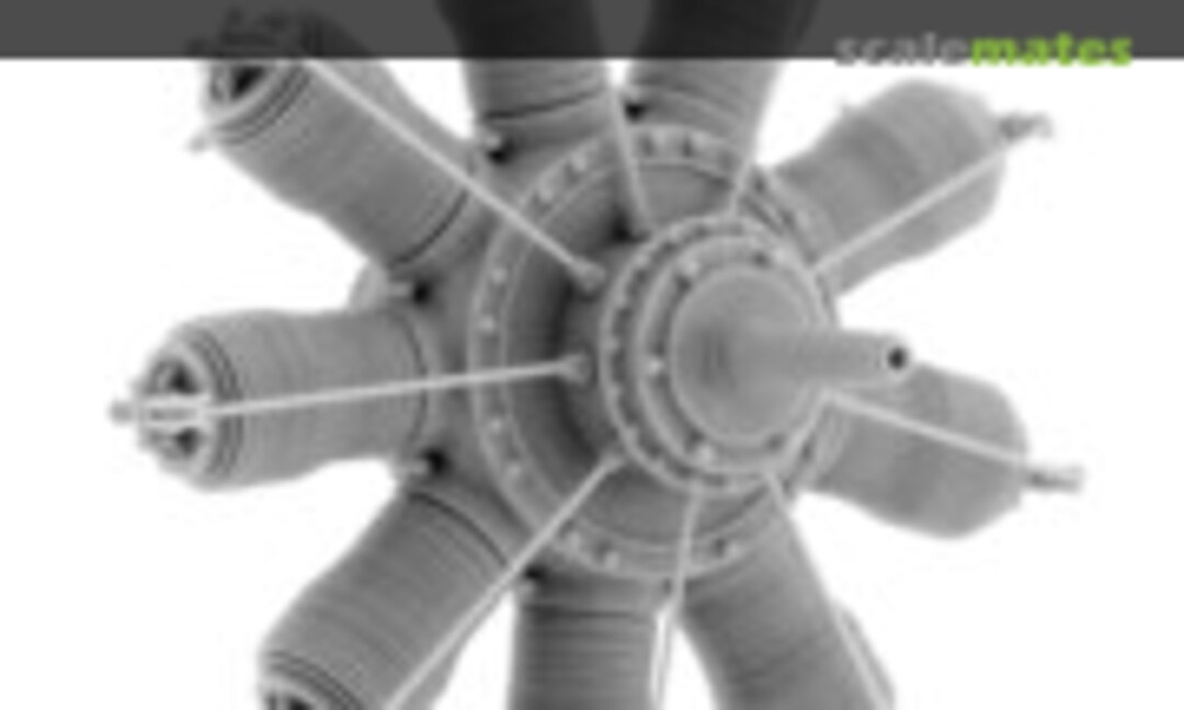 1:48 Gnome 9 Delta / Oberursel U.I (100 hp) Engine (Small Stuff 48104)