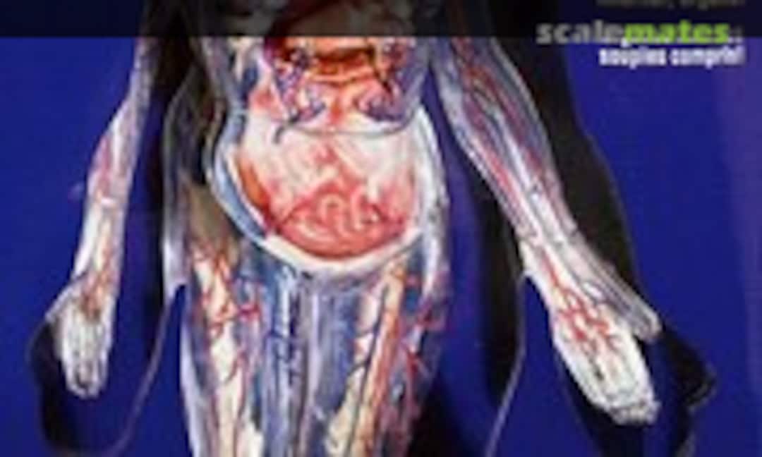 1:4 Transparent Woman (Lindberg 76013) 76013