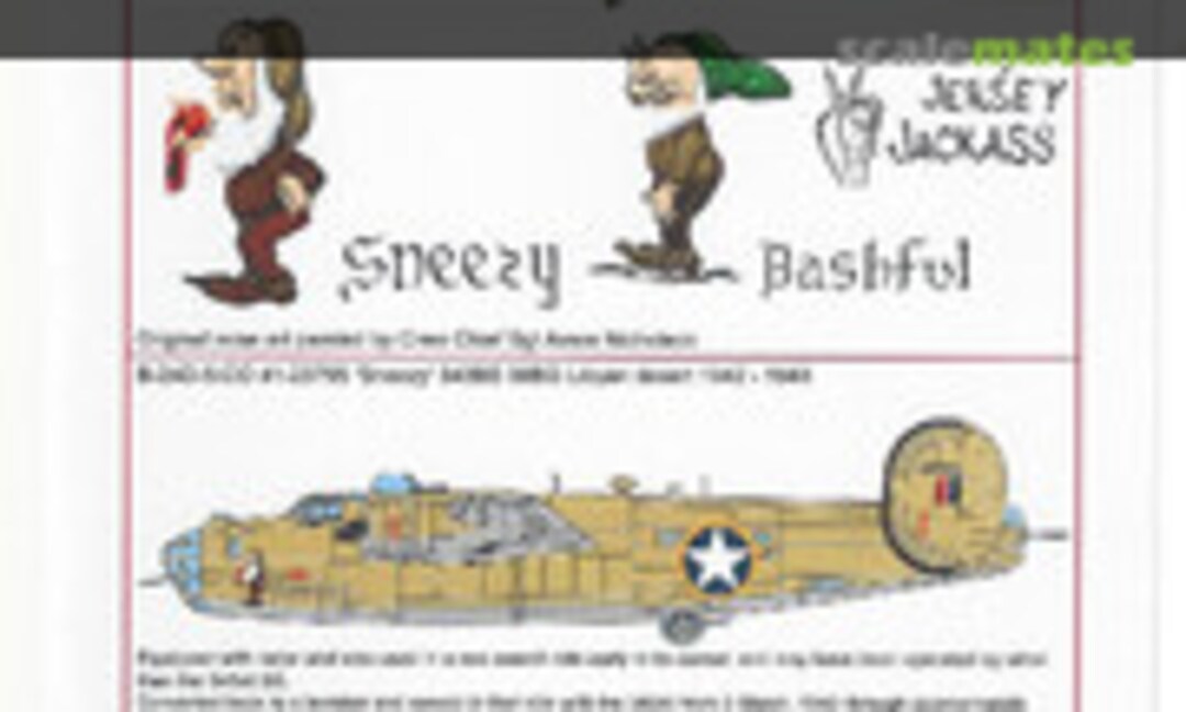 1:48 B-24D Liberators (Kits-World KW148122) KW148122