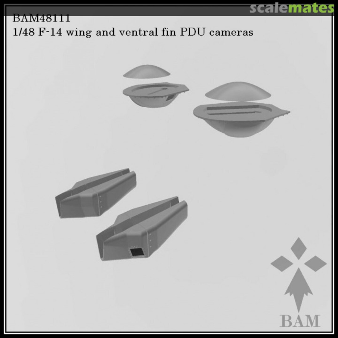 Boxart F-14 wing and ventral fin PDU cameras 48111 BAM Models Boxart F-14 wing and ventral fin PDU cameras 48111 BAM Models