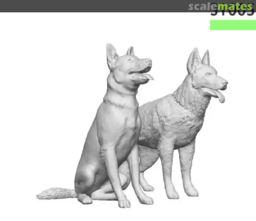Boxart German Shepherds x2 31005-072 Modelu